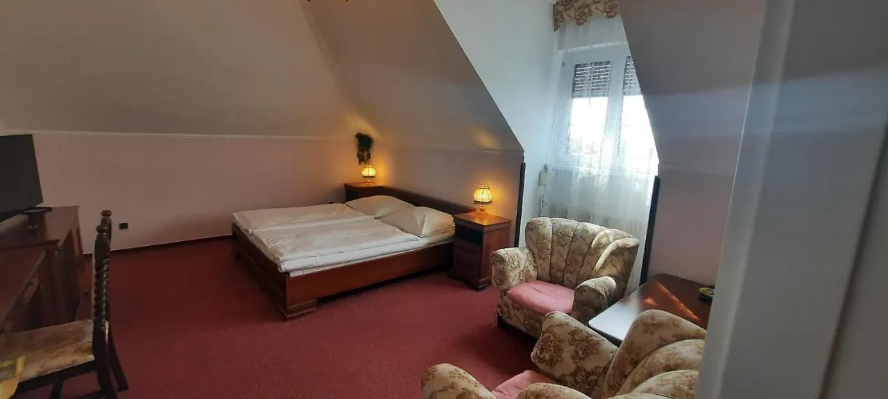 Hotel Excellent Praga 3*,