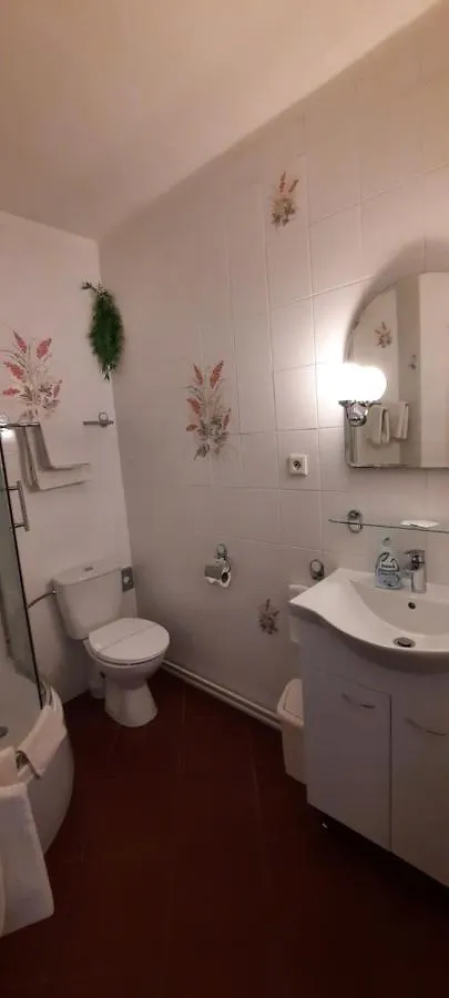 Hotel Excellent Praga 3*,
