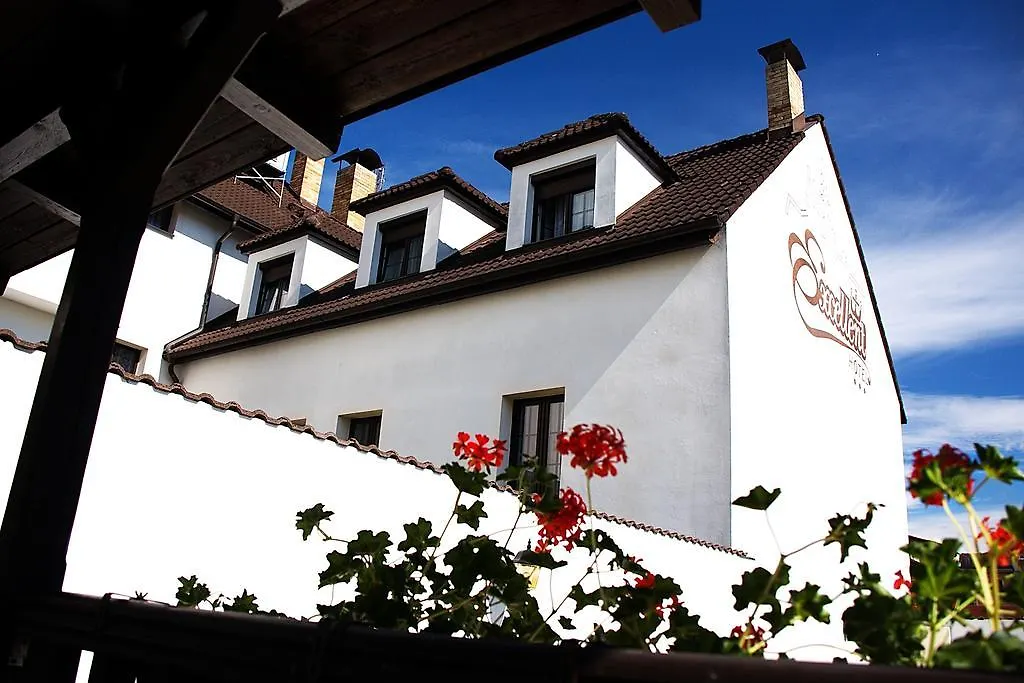 Hotel Excellent Praga 3*,